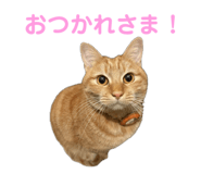 766679979