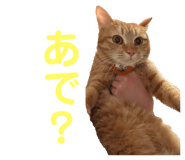 766679980