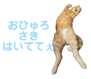 766679982