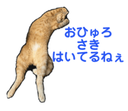 766679983