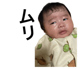 766683756