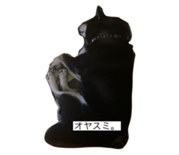 766689801