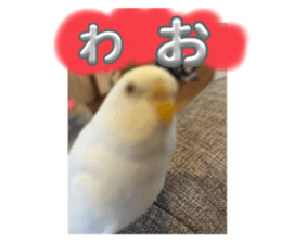 766693062