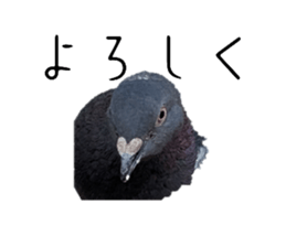 766693373