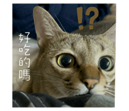 766698721