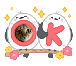 766698724