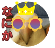 766712007