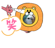 766712008