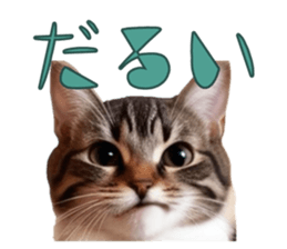 766712121