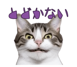 766712135