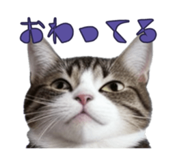 766712146