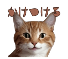 766712149