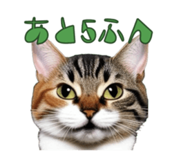 766712593