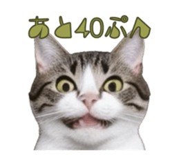 766712598
