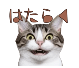 766712788
