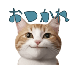 766713234