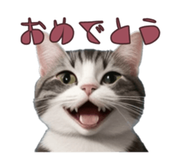 766713236