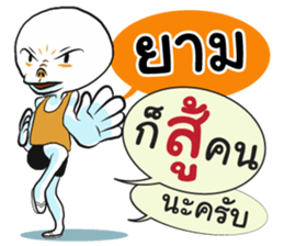 76672533