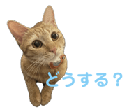766728377