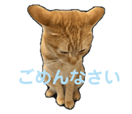 766728378