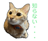 766728380