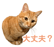 766728381