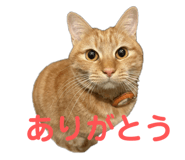 766728382
