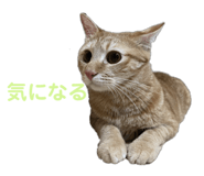 766728392
