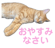 766728394