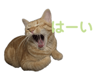766728396