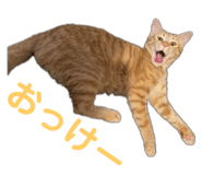 766728398