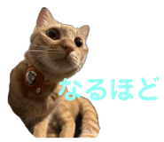 766728399