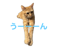 766728400