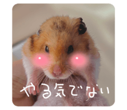 766730867