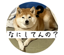766743773