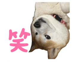 766743781