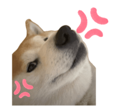766743784