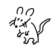 766756466