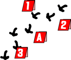 766764556