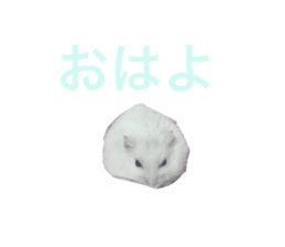 766770985
