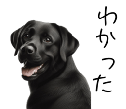 766773102