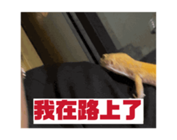 766773969