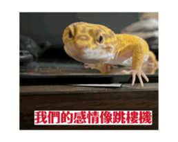 766773970