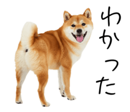 766786342