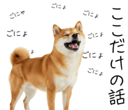 766786346