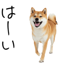 766786367