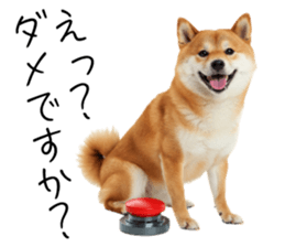 766786368