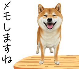 766786372