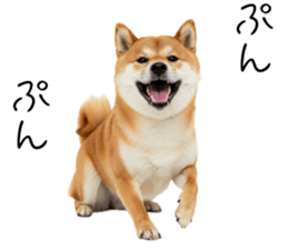 766786373