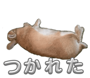 766818060